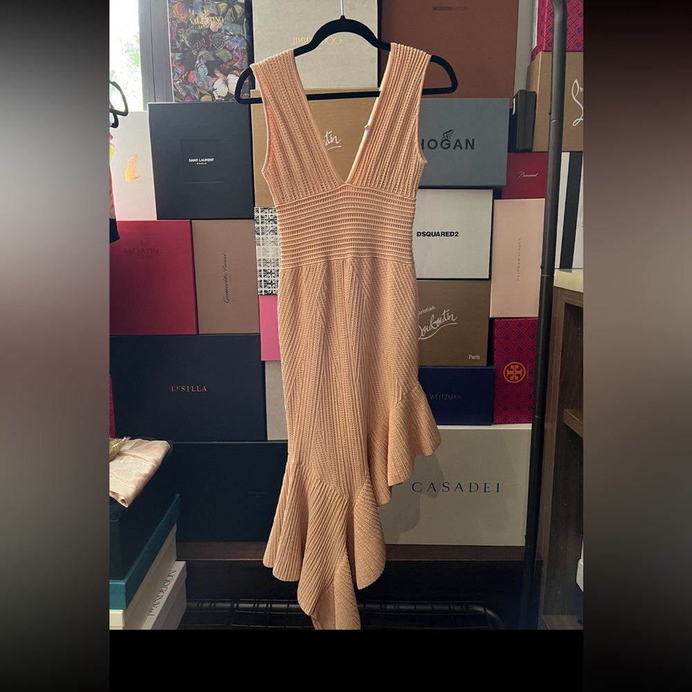 Blush  Assymetrical Dress